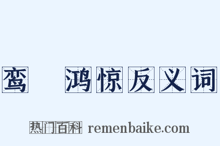 鸾跂鸿惊反义词是什么意思的图片